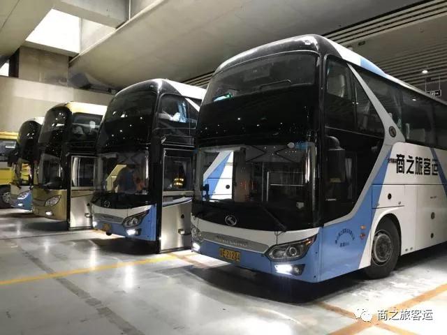 作為菜鳥的新手開車要注意什么？