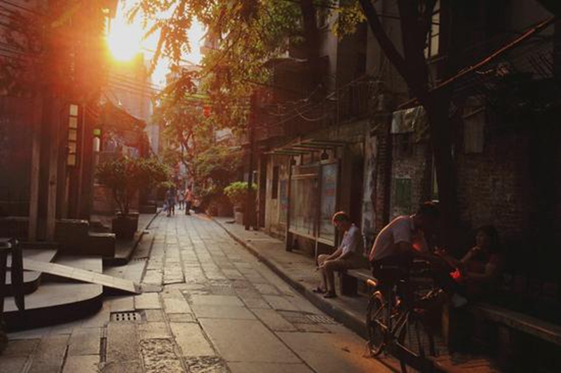 1542701479115626.jpg 13.jpg